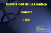 Universidad de La Frontera Temuco Chile · 2020-01-16 · 3. Universidad Estatal: La Facultad de Medicina es una de las cuatro facultades que conforma la Universidad de La Frontera,