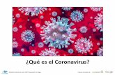 ¿Qué es el Coronavirus? - ASPANAES...PARA IR AL MÉDICO PARA IR A LA FARMACIA PARA IR AL SUPERMERCADO PARA PASEAR AL PERRO SPRAY DESINFECT SPRAY A DECUADO PARA USO SOO ml MUAK! Pabellón
