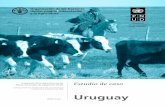resiliencia a través de los PNA Uruguay · Objetivos del estudio de caso Este estudio de caso sobre Uruguay es parte de una serie de estudios de caso de países que describe los