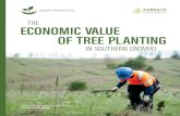 ˆ˚ˇ˘ ˜ ˛ ˇ ˜˜ˇ ˝ ˆ˝ ˇ - Forests Ontario · 2 Economic Impact of Tree Planting Economic impact assessments calculate the economy-wide impacts created when successive
