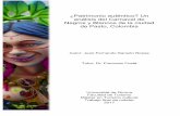 ¿Patrimonio auténtico? Un análisis del Carnaval de Negros ... · consultada y la opinión de los artesanos y artistas. Abstract This research explores the authenticity of the Negros