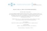 ESCUELA DE ENFERMERÍA - repositorio.pucese.edu.ec€¦ · En la ciudad de Esmeraldas en el Barrio 5 de Junio de la Parroquia Bartolomé Ruiz, la inadecuada nutrición en las gestantes