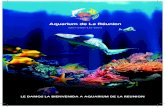 LE DAMOS LA BIENVENIDA A AQUARIUM DE LA REUNION · 2019-05-22 · Aquarium de La Réunion Le damos la bienvenida a Aquarium de la Reunion 2 ALGUNAS ESPECIFICACIONES TECNICAS 7 Cantidad