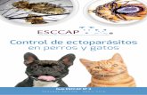 Control de ectoparásitos en perros y gatosesccap.es › wp-content › uploads › 2018 › 05 › guia3_2018.pdf · 2018-05-09 · 4 Guía ESCCAP no 3 Control de ectoparásitos