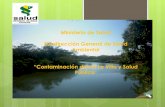 Ministerio de Salud Subdirección General de Salud …...Río La Villa La contaminación con agroquímicos del Río La Villa, forma parte de un proceso continuo de degradación ambiental