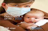 Organización Panamericana de la Salud GRIPE › hq › dmdocuments › 2010 › h1n1_spanishlr.pdf · En la actualidad el virus tiende a causar una alta morbilidad pero baja mor-talidad.