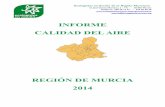 INFORME CALIDAD DEL AIREsinqlair.carm.es/calidadaire/documentos/documentacion/informe_cal… · también los precursores del ozono troposférico, el proyecto de directiva incluía