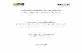 COLEGIO FEDERADO DE INGENIEROS Y DE ARQUITECTOS DE COSTA RICA COLEGIO DE INGENIEROS ... · 2020-03-25 · Página 6 de 54 • Colegio de Ingenieros Electricistas, Mecánicos e Industriales