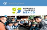 CELEBRANDO 40 AÑOS EN MÉXICO · 40 AÑOS EN MÉXICO ©FAO. Antecedentes México es país miembro de la Organización de las Naciones Unidas para la Alimentación y la Agricultura