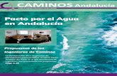 Pacto por el Agua en Andalucíacaminosandalucia.es/wp-content/uploads/2020/04/2020-0203...Allí pudimos reencontrarnos algunos compañeros “viejos rockeros del agua”, representando