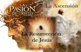 La Resurrección de Jesús€¦ · La Resurrección de Jesús ¿Qué les provocó a los líderes religiosos por fin asesinar a Jesús? •La resurrección de Lázaro –Juan 11:45-57