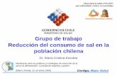 Presentación de PowerPoint › portal › url › item › 929489c4e93f... · ¾El consumo de sal doméstica en Chile decrece año a año a tasas promedio de 1,5%. ¾Del total del