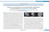 Virus y evolución en bacterias, plantas y mamíferos Premios SGM …crinoidea.semicrobiologia.org/pdf/actualidad/59/07... · 2018-06-15 · Rafael Rotger Dpto. de Microbiología