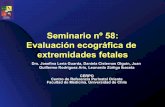 Seminario nº 58: Evaluación ecográfica de extremidades fetales - … › _items › File_002_00678_003.pdf · 2017-07-05 · Fémur corto • Si longitud es menor a percentil 1,