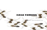 Ant Pests...CASA TOMADA, es una simbiosis entre la naturaleza y el arte, está compuesta por mil Hormigas, imágenes que aluden a una crisis colectiva: el Desplazamiento, la Inmigración,