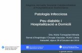 Patologia Infecciosa Peu diabètic i Hospitalització a Domicili · Marinel-lo J, Blanes JI, Escudero JR, et al. Consenso de la SEACV sobre pie diabético. Angiología 1997; 5: 193-230.