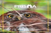  · del Boletín Prisma! Junto con saludarles, agradecemos su interés en participar de las diferentes cámaras ... SEREMI DE MEDIO AMBIENTE, REPRESENTANTE GOBIERNO REGIONAL JUAN