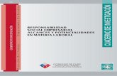 CUADERNO DE - Inicio - DT...Instituciones promotoras de la Responsabilidad Social Empresarial en Chile que abordan el tema laboral..... 32 3.3.2. Opinión de la ciudadanía chilena