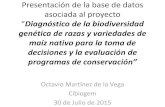 Diagnóstico de la biodiversidad genética de razas y variedades de maíz nativo para ... · 2015-08-06 · • Consultas • Mapas con Accesiones • Documentos. ¿Base de datos