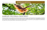 Viaje de novios Tarannà viajes - INDONESIA. …...Un viaje de novios por Indonesia en el que disfrutaremos de naturaleza, paisajes y costumbres. Empezaremos el viaje en Borneo para