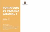 PORTAFOLIO DE PRACTICA LABORAL 1utamed.uta.cl/.../2019/08/Nicolas_Leblanc_Laboral1_2019.pdf · 2019-08-21 · A modo de introducción se presenta el portafolio de la Practica laboral