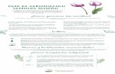 SEMILLAS TULIPÁN - Sembramos › wp-content › uploads › 2018 › 07 › guia... · 2018-12-05 · Recomendamos usar florescencia soluble para una óptima floración de los tulipanes.