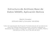 Estructura de Archivos Base de Datos MAMS;Estructura de Archivos de MAMS • Los archivos en Excel de MAMS; datos para calibración y escenario de referencia – “general” (MCS,
