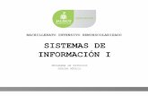 BACHILLERATO INTENSIVO SEMIESCOLARIZADO SISTEMAS DEedu.jalisco.gob.mx/.../files/sistemas_de_informacion_i.pdf · 2018-10-10 · Bloque I: Introducción a los Sistemas de Información