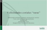 Vellosidades coriales “raras” · Evolución de la mola hidatiforme Mola parcial Coriocarcinoma E. persistente Normal Mola completa Coriocarcinoma E. persistente Normal. Enfermedad