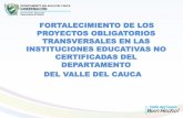 FORTALECIMIENTO DE LOS PROYECTOS OBLIGATORIOS ...proyectostransversalesvalle.com/wp-content/uploads/... · FORTALECIMIENTO DE LOS PROYECTOS OBLIGATORIOS TRANSVERSALES EN LAS INSTITUCIONES