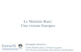 Le Malattie Rare: Una visione EuropeaTelemedicina e e-Health 4.4 Sistema di informazione e codifica in linea con sistemi nazionali ed internazionali Funzione Diagnostica Funzione di