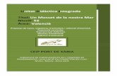 Unitat Didàctica Integrada Títol: Un Mosset de la nostra Mar …icc.portdexabia.com/wp-content/uploads/2015/12/UDI... · 2017-02-12 · ACTIVITAT ACTIVITAT1: Els alumnes, individualment
