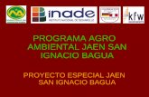 PROGRAMA AGRO AMBIENTAL JAEN SAN IGNACIO BAGUA · • Planta de panela Tabaconas Aporte del PAA: S/. 70000 Aporte Organización S/. 70,000 + mano de obra. ...