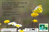 Les papallones diürnes de la Plana del Vallès: Diversitat i canvis en les …adenc.cat/wp-content/uploads/2019/05/Stefanescu_Const... · 2019-05-16 · Les comunitats de papallones