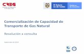 Presentación de PowerPoint · Contexto Sistema nacional de transporte de gas Gasoductos 2 a 32 pulgadas: 7.460 km Compresión: 190.000 HP Capacidad: ~1000 MPCD Inversión: 2,650