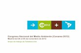 Grupo de trabajo de Teledetección - Conama · 2012-12-12 · CONTROL POR TELEDETECCIÓN DE AYUDAS DE LA PAC - PROGRAMA GEOCAP-Aplicación de los Controles en la PAC: A.“Ad i ibilid