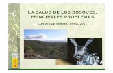 la salud de los montes principales problemas upna2011 final · 2013-03-15 · Servicio de Sanidad Forestal y Equilibrios Biológicos (SSF) LA “SALUD” Conceptos: - Vitalidad: el