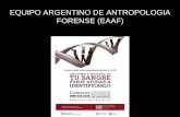 EQUIPO ARGENTINO DE ANTROPOLOGIA FORENSE (EAAF) · Métodos y técnicas para: ... • Estimación de edad • Estimación de grupo poblacional • Estimación de estatura ... •