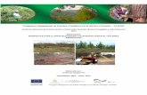 Instituto Nacional de Conservación y Desarrollo Forestal ...clifor.hn/wp-content/uploads/2016/07/Propuesta... · conservación y desarrollo forestal, áreas protegidas y vida silvestre,