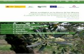 Olivar ecológico en la Sierra de las Nieves Programa para ...€¦ · Transformación en Cultivo Ecológico. Realizado en gran parte con metodología participativa, este estudio