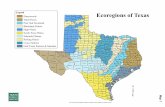 Ecoregions of Texas · 2007-10-26 · pecos w ebb brewster hudspeth pr esidio reeves culberson val verde duval terrell cr ockett frio harris bee edwards clay bell jeff davis hill