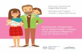 Promoción, Protección de la Maternidad y Apoyo a la Lactancia Materna ...pactoglobal.org.py/uploads/VhZR7.pdf · a la Lactancia Materna (Ley Nº 5508/2015) PRESENTACIÓN Y AGRADECIMIENTOS