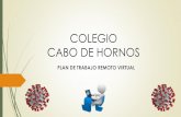 COLEGIO CABO DE HORNOS · A continuación les presentaremos los lineamientos que hemos definido, de forma de darles a conocer cómo vamos a continuar ... clases grabadas y con instructivos