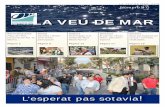 LA VEU DE MAR, 2015 Número 47 · -El Passeig del moll de Ponent L'Ajuntament, amb bon criteri, ha eliminat entrebancs com ara murs, tanques, casetes, etc. en aquest passeig. Amb