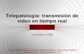 Telepatología: transmisión de video en tiempo reale-pat.org/DVD/pdf/lalfaro1.pdf · de una página web ... Transmisión de video en tiempo real • Conexiones con ADSL a Internet