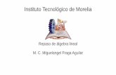 Instituto Tecnológico de Moreliasagitario.itmorelia.edu.mx/mfraga/materias/matav/algebraLineal.pdfEl elemento i,j de AB es el producto punto del i-esimo renglón de A por la j-esima