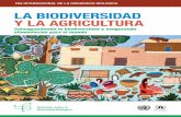 LA BIODIVERSIDAD Y LA AGRICULTURA - UNAM...Sin embargo, la biodiversidad de la Tierra se está perdiendo a un ritmo alarmante, poniendo en peligro el sostenimiento de los servicios