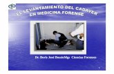 Dr. Boris José BossioMgs Ciencias Forensesftpmirror.your.org/.../c0/LEVANTAMIENTO_DE_CADAVERES_mp.pdf · 2011-10-20 · TETRAEDRO PROCEDIMIENTOS EN CASO DE MUERTES ENFOQUE CRIMINALISTICO