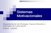Comportamiento de Mantenimiento - UNAM · Motivación Proceso responsable de la conducta orientada hacia metas. Es el impulso de buscar y lograr Tendencia a realizar un comportamiento.