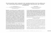 Evaluación del estado de maduración de la piña en …33 Evaluación del estado de maduración de la piña en su variedad perolera mediante técnicas de visión artificial - Silva,
